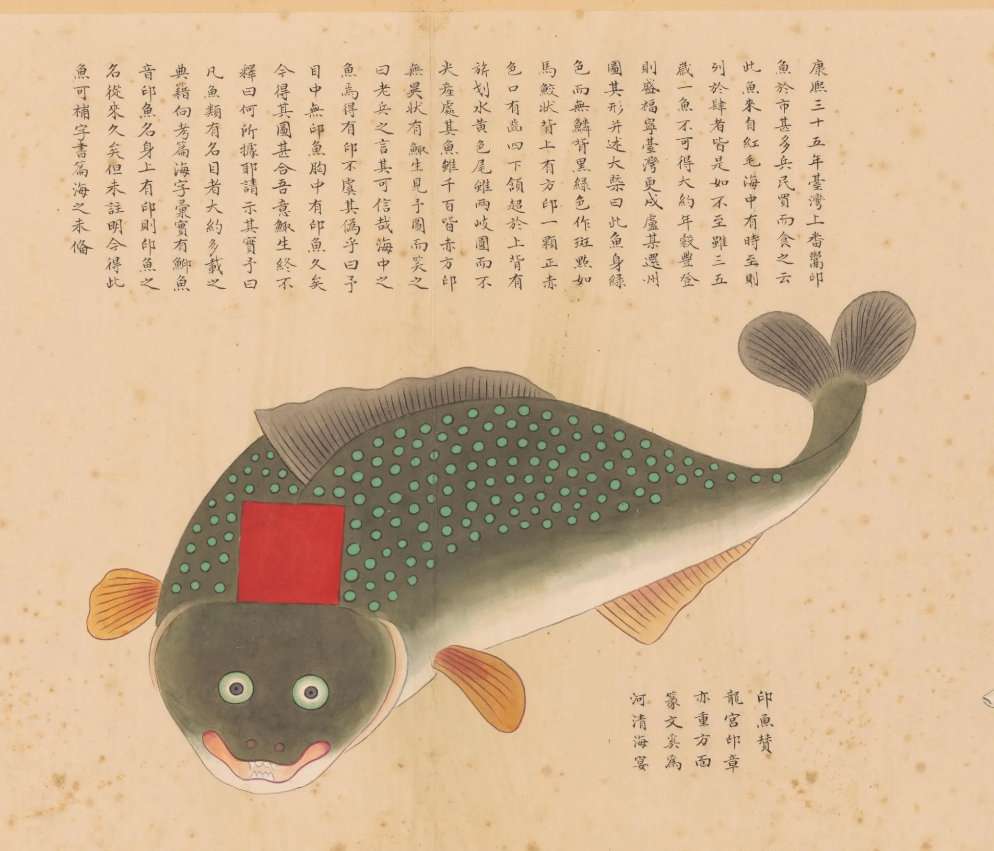 印鱼