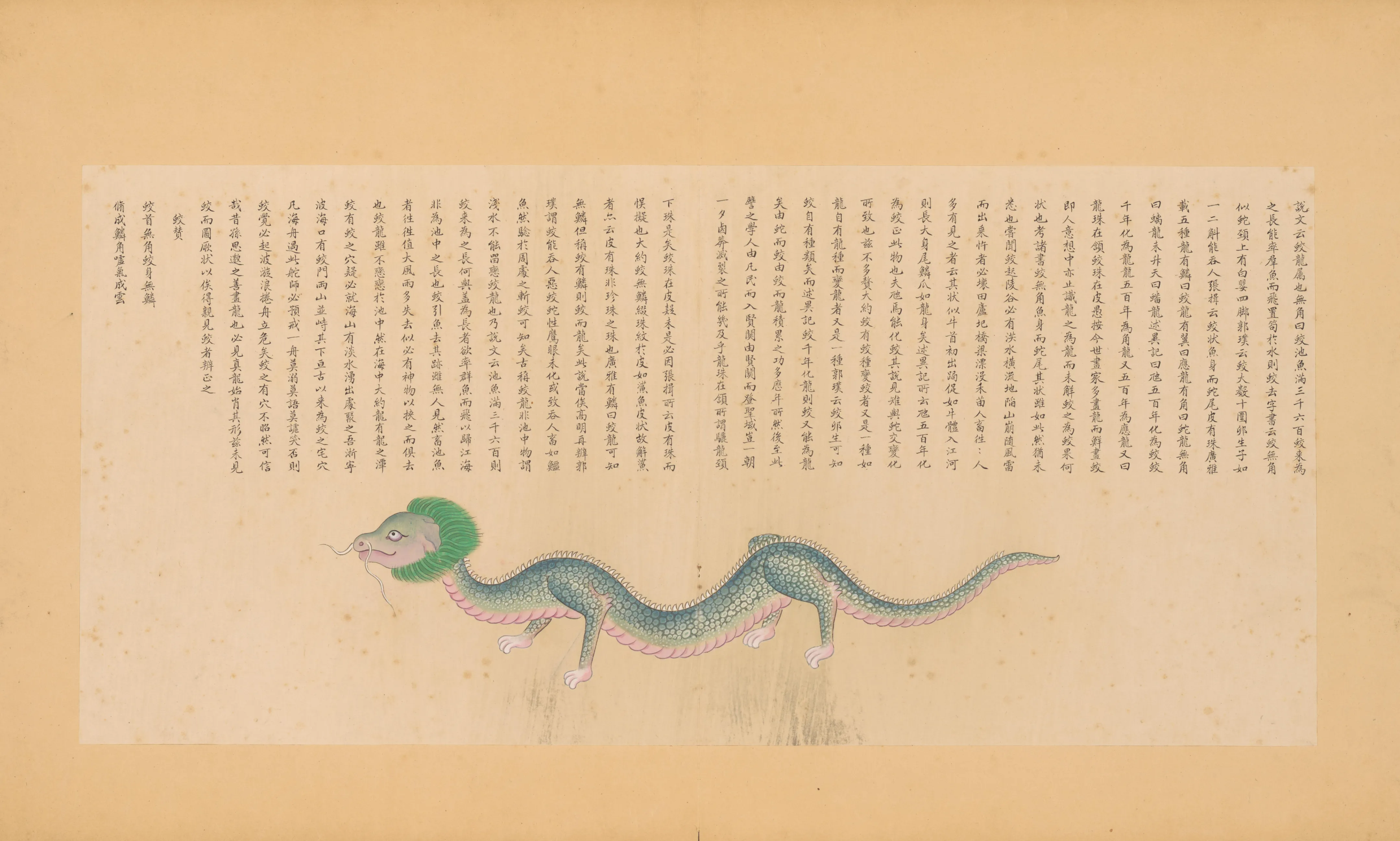 蛟龙