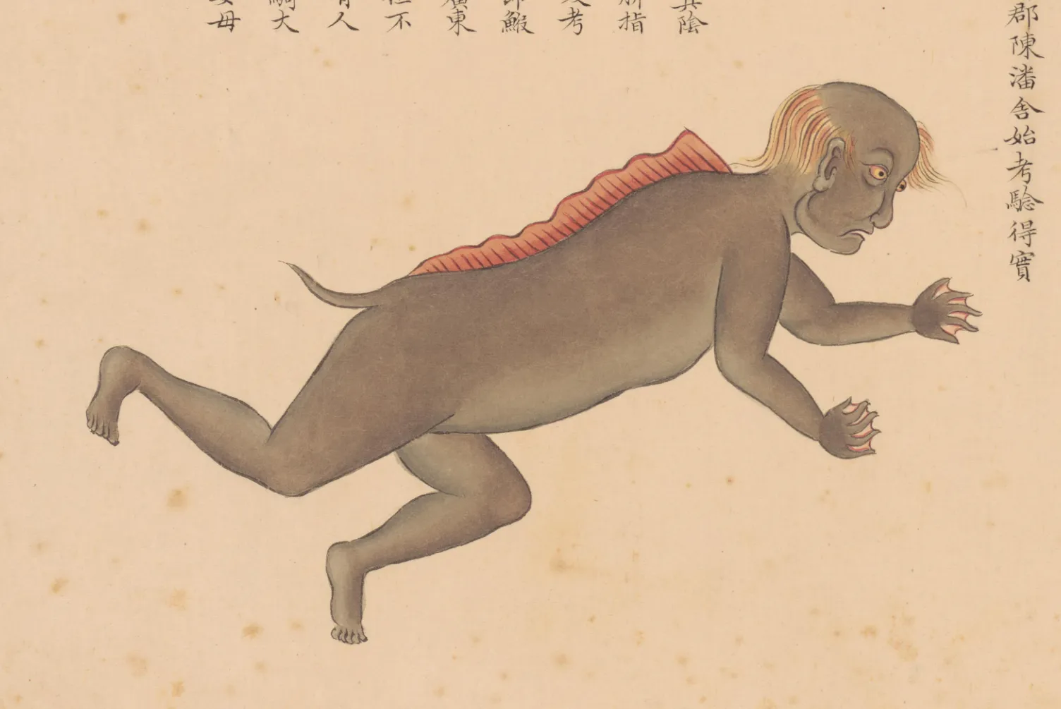 人鱼
