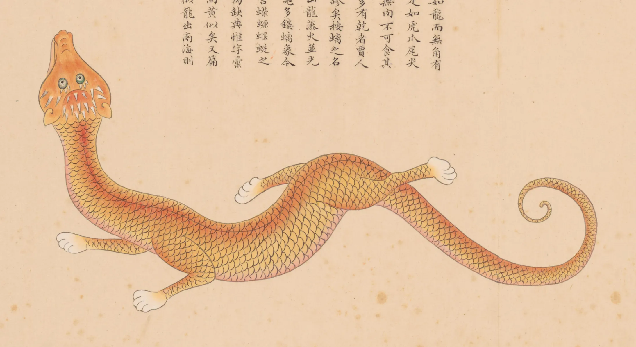 螭虎鱼