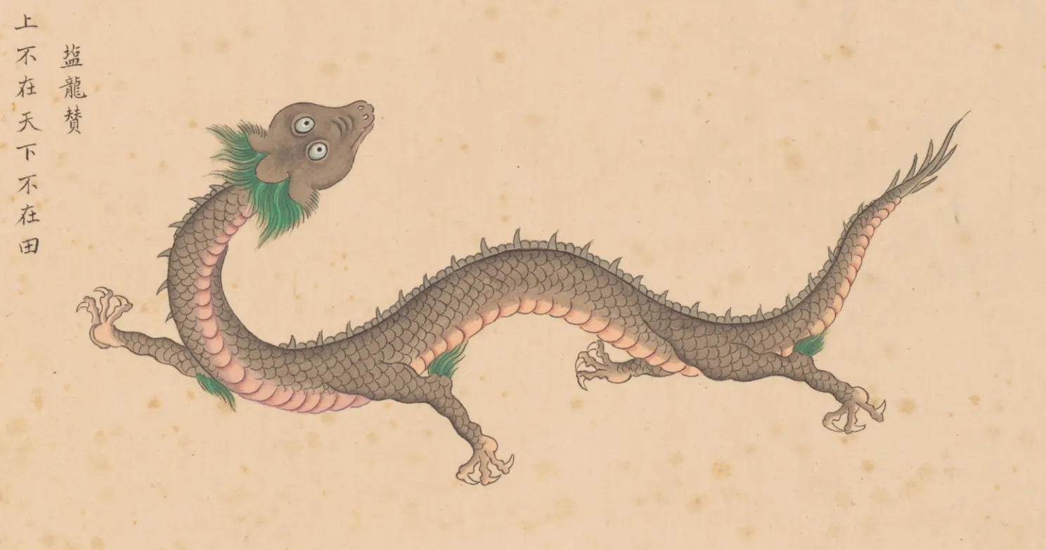 盐龙