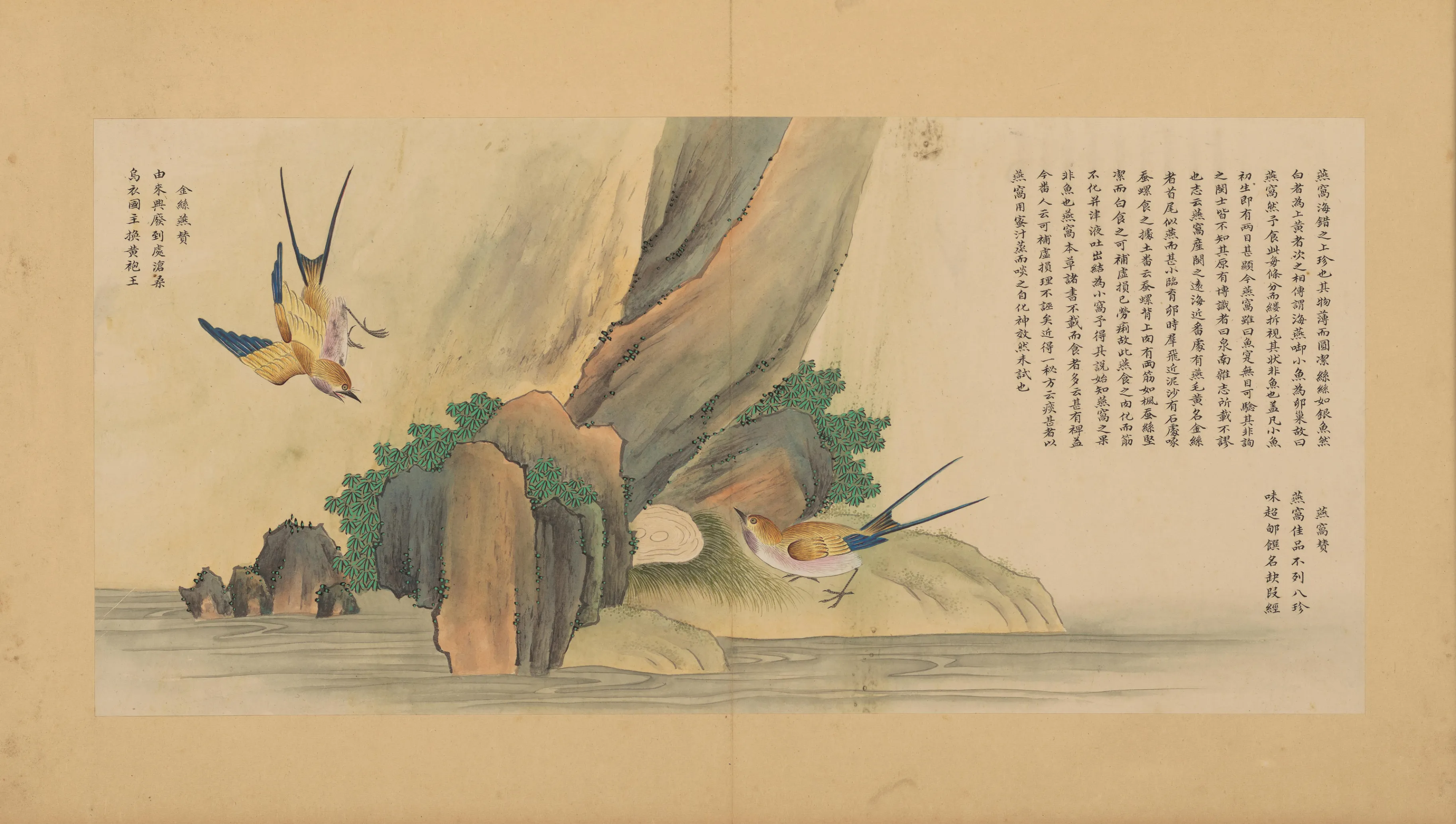 海燕