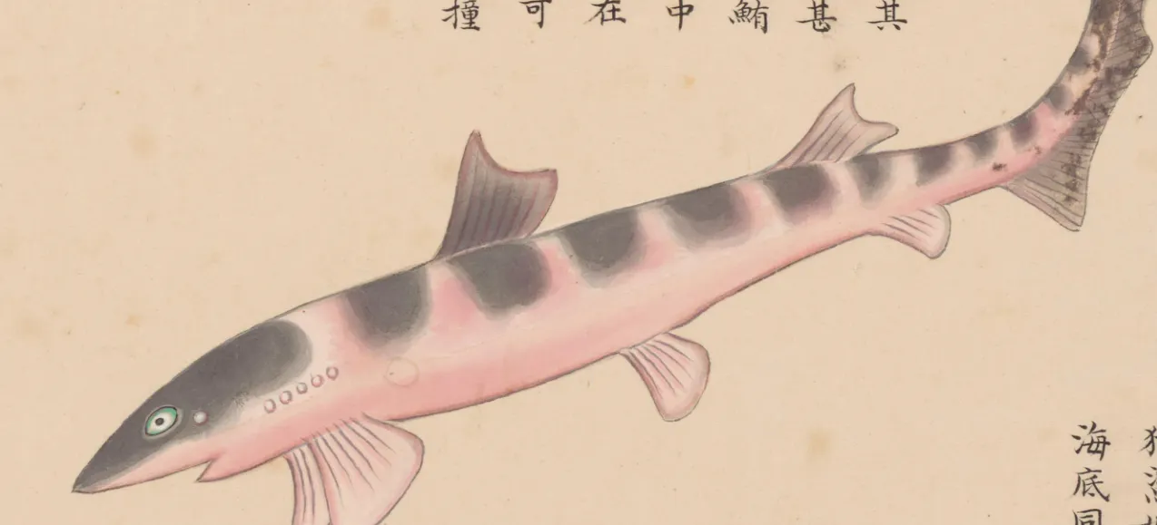 龙门撞