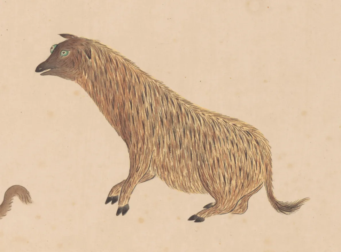 刺鱼
