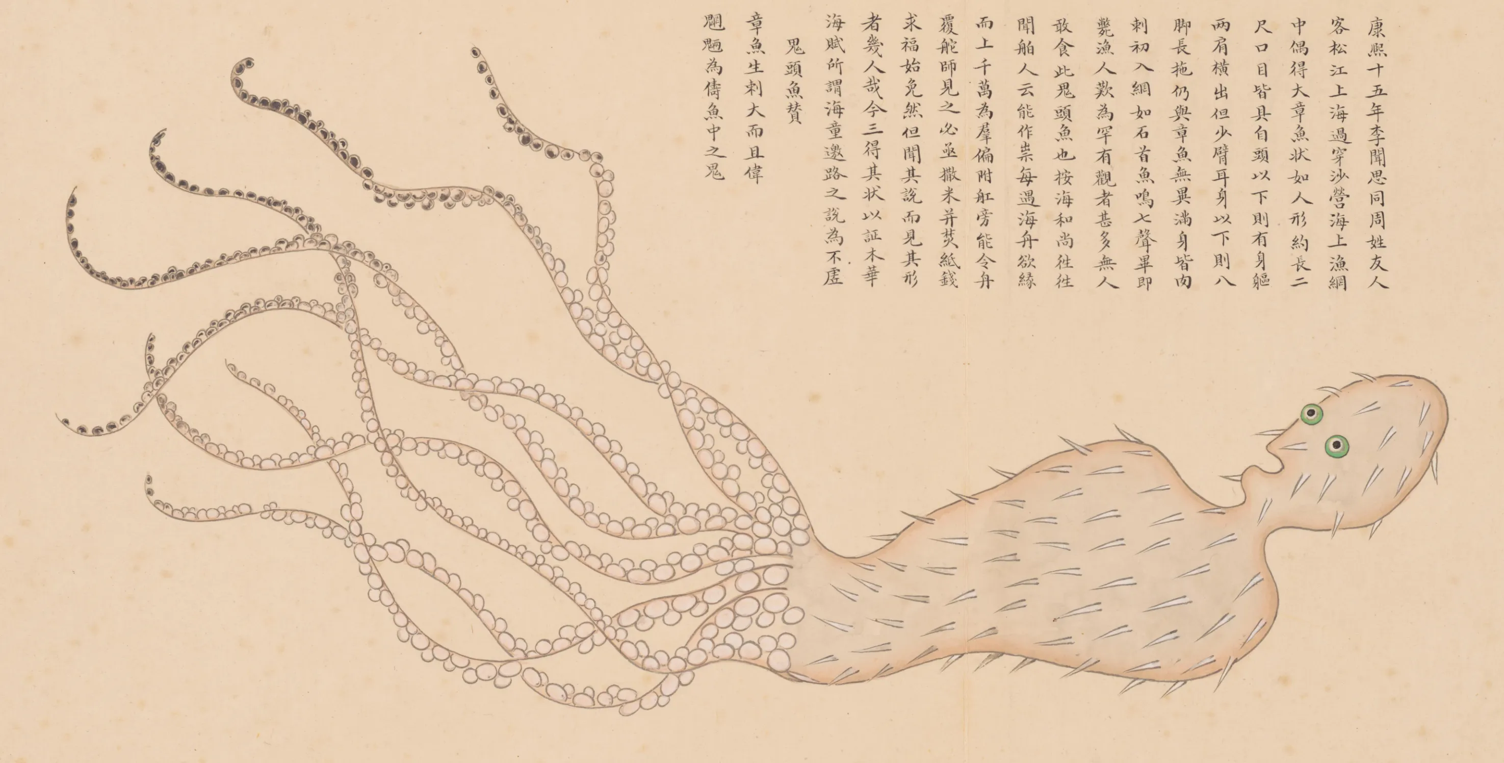 鬼头鱼
