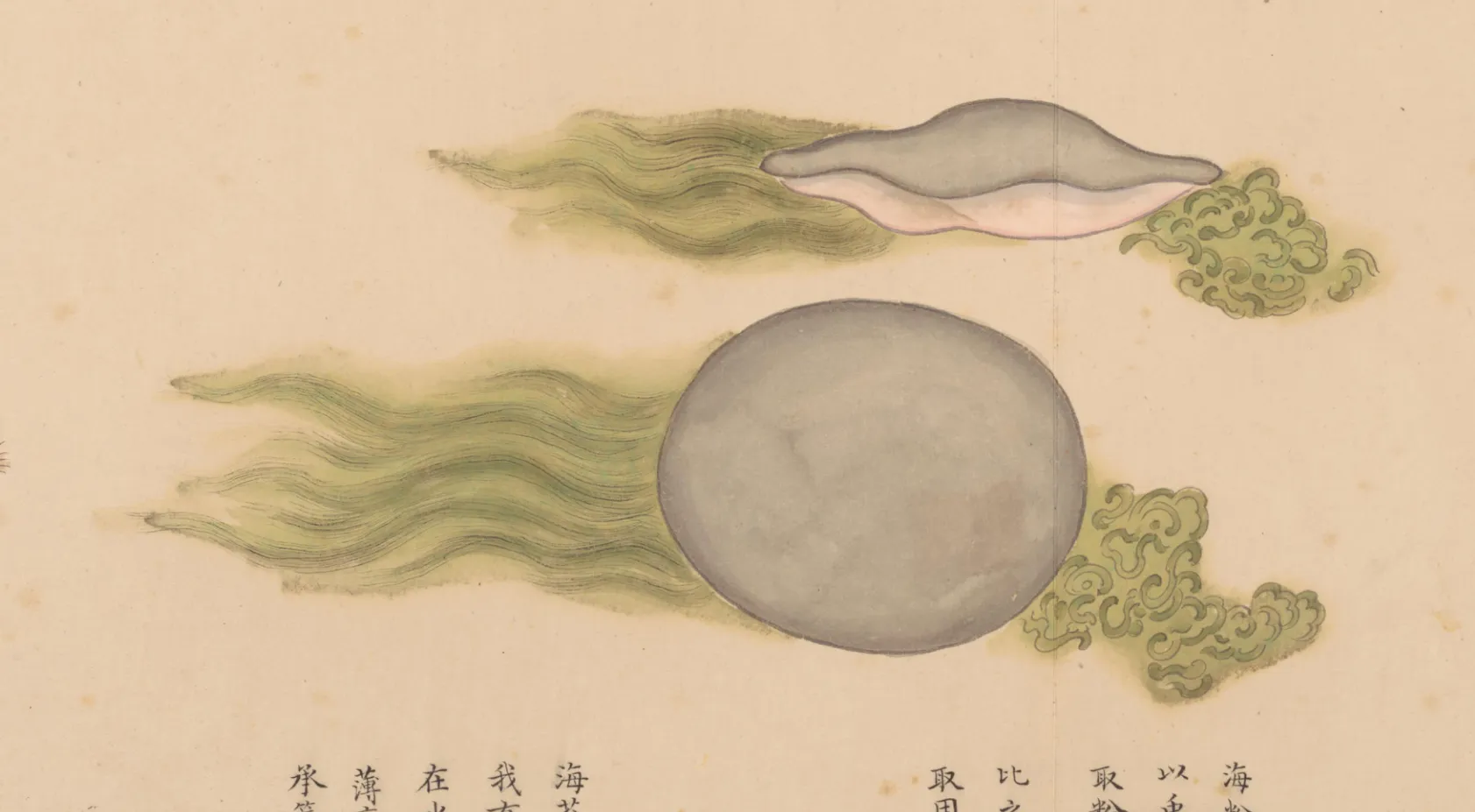 海粉