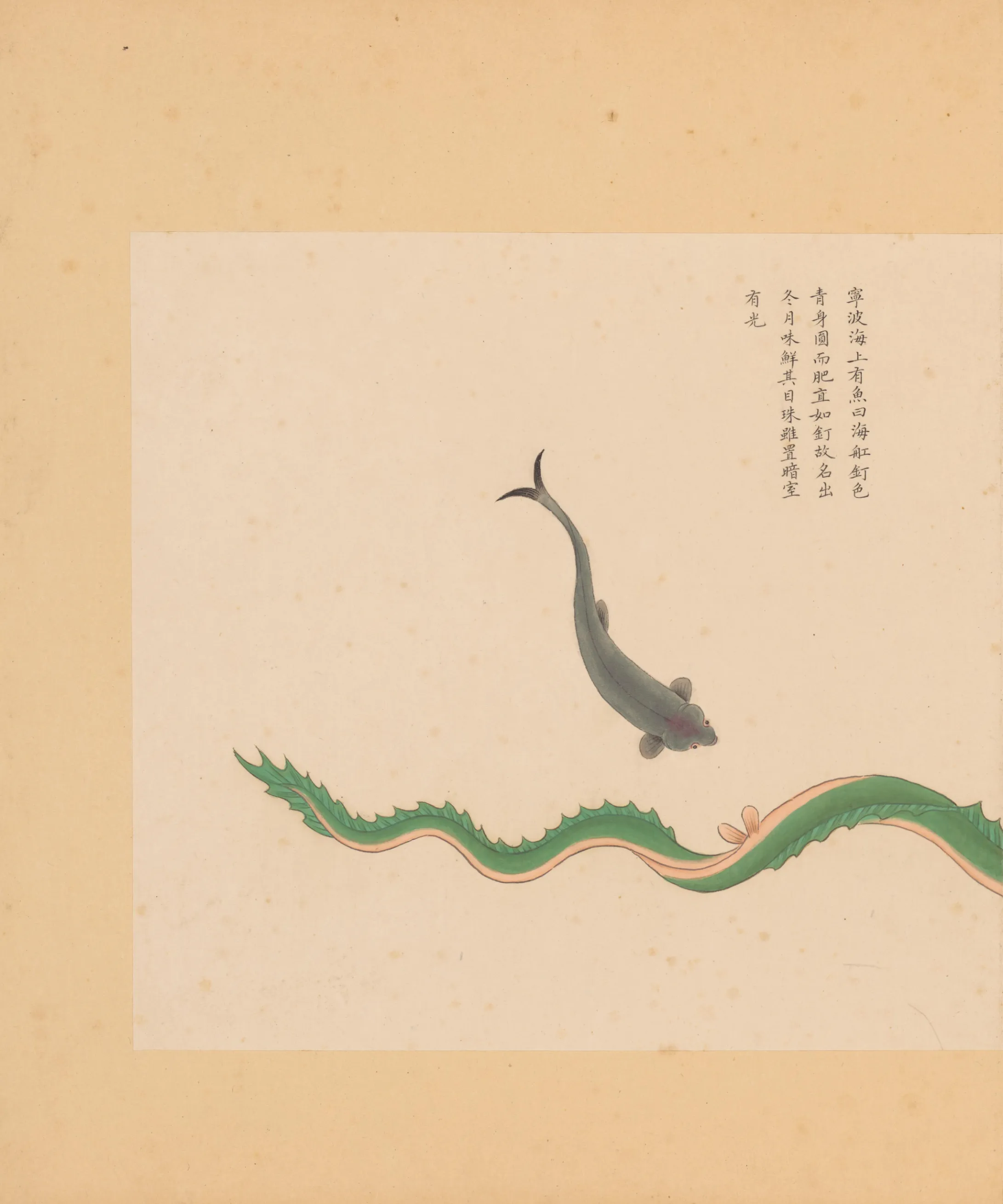 海钉