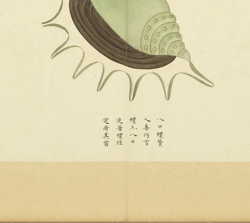 八口螺