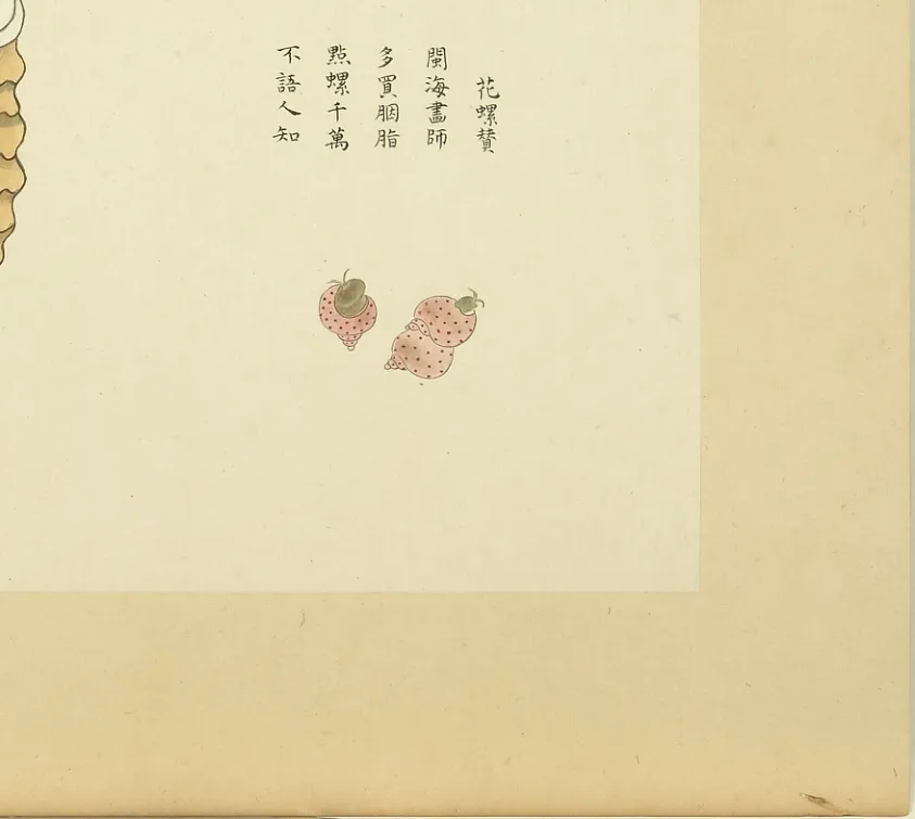 花螺